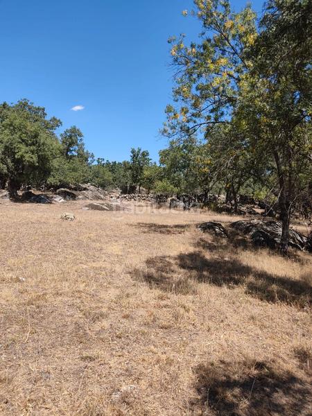 Foto 8c558637-d092-47c5-9fac-7a5df41d32b5. Propriété dans Centro-Manguilla Escorial (El)