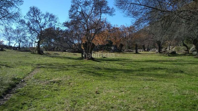 Foto 0ef8652c-e41a-42b4-918b-cb8cb9fd6524. Rural plot in Centro-Manguilla Escorial (El)
