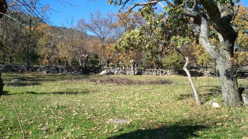 Foto 79122a75-23c6-4842-8575-af40b97edc66. Rural plot in Centro-Manguilla Escorial (El)