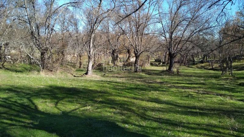 Foto c9df7386-fe55-4e60-bf1b-5ae659f73bfb. Rural plot in Centro-Manguilla Escorial (El)