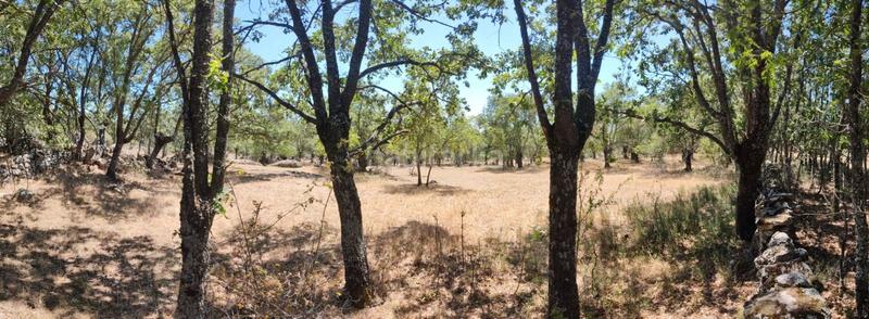 Foto d7a1301d-aaa7-428a-83fe-107220fe8b21. Rural plot in Centro-Manguilla Escorial (El)