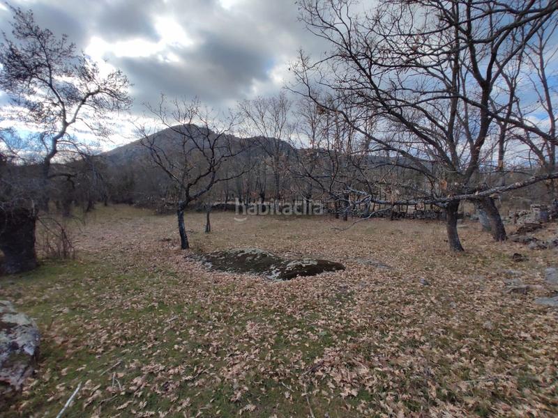 Foto a991e5d5-5db8-4185-8496-9acc66121fdc. Finca rústica a Centro-Manguilla Escorial (El)