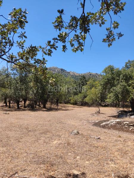 Foto ba4ef7bf-2f8c-4111-b480-427d9af54d66. Finca rústica a Centro-Manguilla Escorial (El)