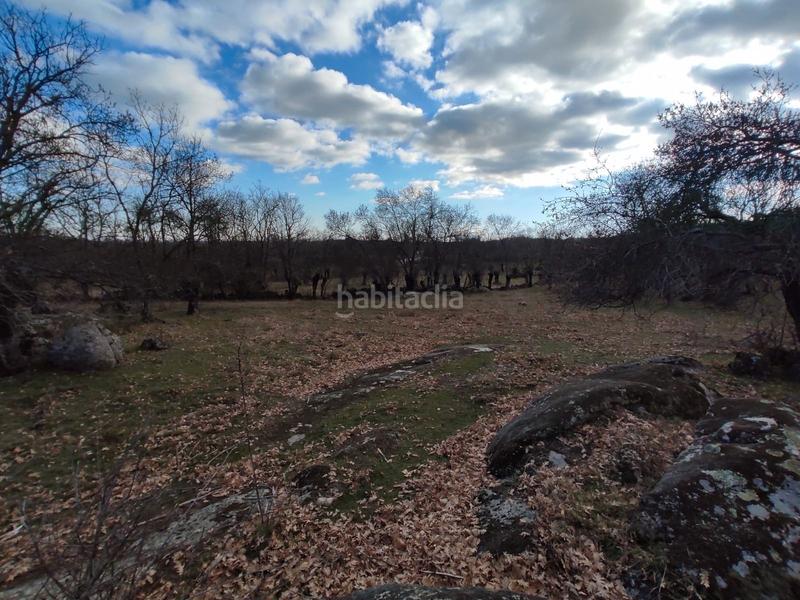 Foto 5f6f5f6e-8cca-4918-b7da-ea850a50277a. Finca rústica en Centro-Manguilla Escorial (El)