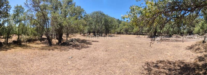 Foto fde0bded-5feb-4125-99c9-05ef89d36e56. Finca rústica en Centro-Manguilla Escorial (El)