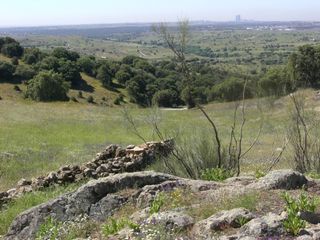 Terreno residenziale  M-104 finca la encinilla (junquer)