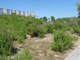 Terrain résidentiel à Primera Fase-Nuevo Tres Cantos