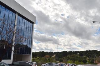 Office space  Calle las norias