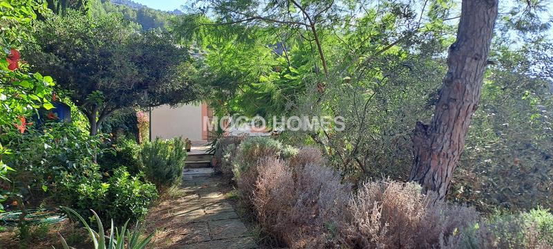 Foto 8b4011b6-febb-4ff7-a95b-97e391e46e00. Masia amb calefacció a Banyalbufar