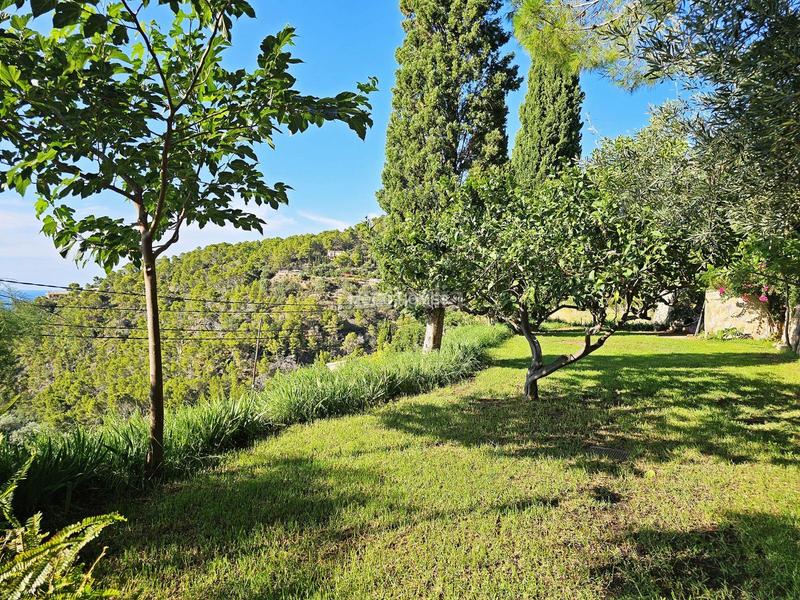 Foto e089c913-2f44-4253-81d5-66adaeaf564a. Masia amb calefacció a Banyalbufar