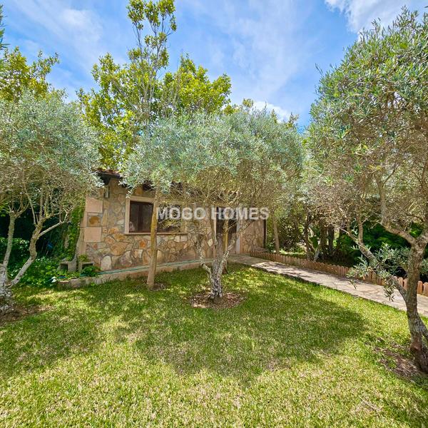 Foto a8c6f645-873a-4fb5-9d7c-99125c2d9f77. Haus mit heizung pool in Pollença poble Pollença