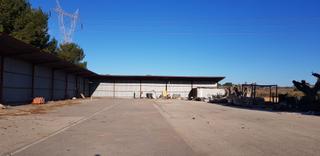 Propriété à San Antonio de Benagéber. Alquiler y venta vivero