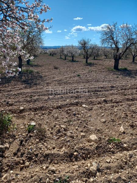 Foto 426f6332-c1bd-4e49-b846-55f20f7cb3ae. Finca rústica venta de finca con dos naves en Fuenterrobles