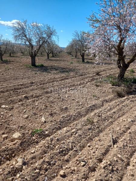 Foto 63218063-61ff-4347-9a9d-90b4c4330a9e. Finca rústica venta de finca con dos naves en Fuenterrobles