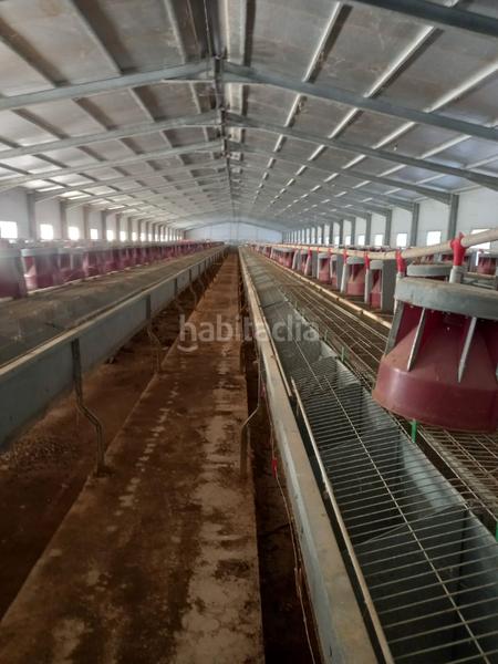 Foto 936fc996-4bd1-46df-a2d6-5ac5637b980d. Finca rústica venta de finca con dos naves en Fuenterrobles
