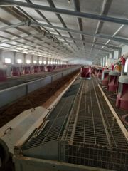 Landgut in Fuenterrobles. Venta de finca con dos naves