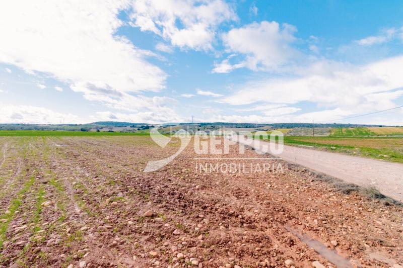 Foto 01cf9724-d474-43d5-8e04-817d3a595a15. Terreny residencial a Robledillo de Mohernando