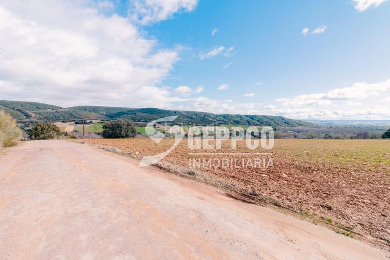 Foto 9135191b-6271-497e-ac40-d9bf49675d28. Terreny residencial a Robledillo de Mohernando