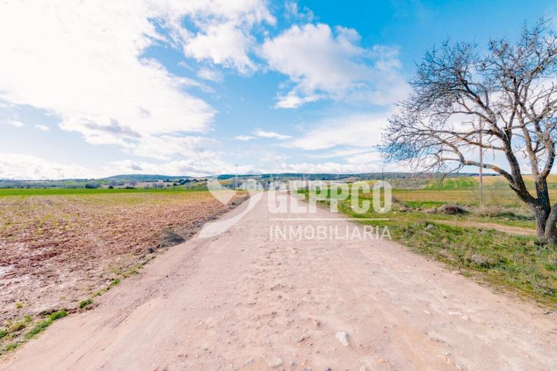 Foto e0867fbf-e1b5-4776-93ad-17172ddb50a7. Terreny residencial a Robledillo de Mohernando