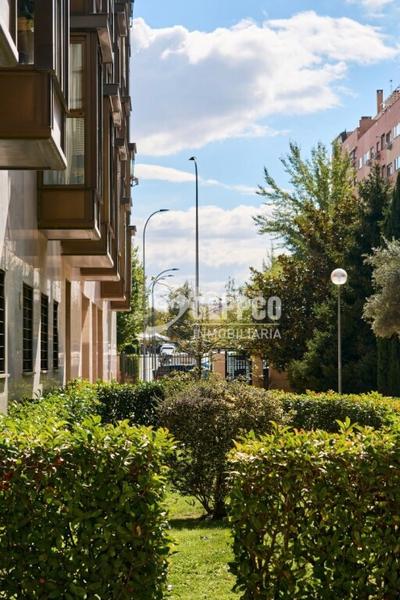 Foto 65f93642-6aa7-41de-a4f7-7d73b5efc8cc. Attique avec piscine dans Sanchinarro Madrid