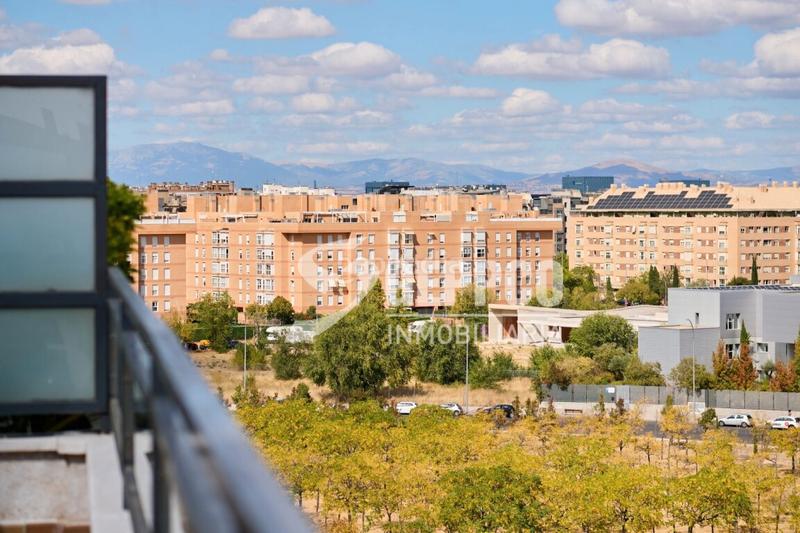 Foto b6897dc0-1fa2-4585-8c51-2e716cbddab2. Attique avec piscine dans Sanchinarro Madrid