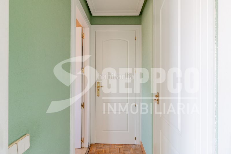 Foto 943cb072-6147-4acf-b2fa-0f65790a96f0. Pis a Costillares Madrid
