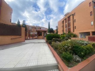 Pis a Avenida de Europa