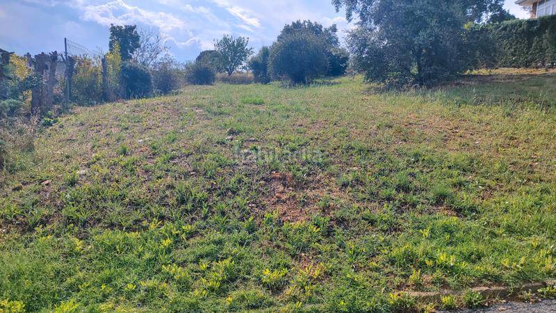 Foto 42fad1b0-a1d1-484e-b6d0-c7d6c48ee8eb. Terreno residencial en Casar (El)