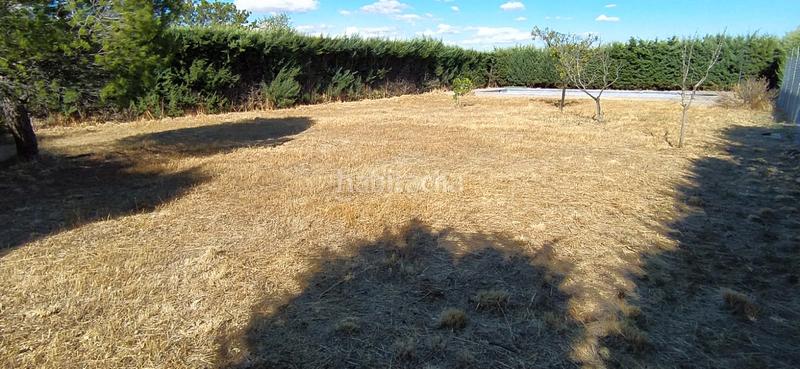 Foto b5adda9f-4321-4e16-b9ea-6413ef0435bd. Terrain résidentiel dans Casar (El)