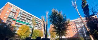 Etagenwohnung in Aluche. Oportunidad estupendo piso de 3 dormitorios con ascensor y terra