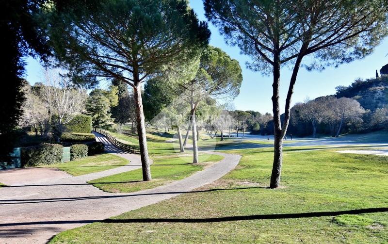 Foto 8ee94afe-f2cc-47ad-bb1f-6bc11c342e1d. Terreno residenziale in El Bosque Villaviciosa de Odón