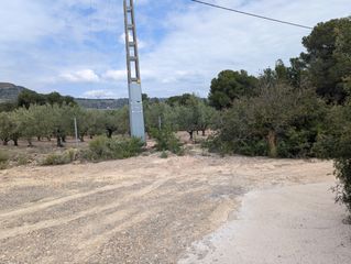 Finca rústica en Camino 2 39. Terreno rústico en paraje de la sarva
