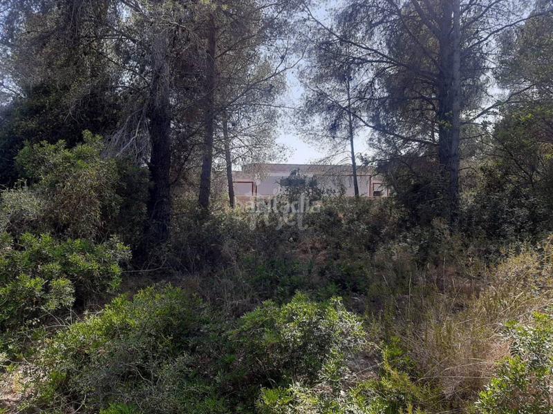 Foto 2845858d-9adb-4c81-9210-b73925fe2024. Finca rústica a Catllar (El)