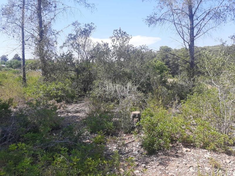 Foto 649cc98d-6233-4050-bc41-2e715ea89e24. Finca rústica a Catllar (El)