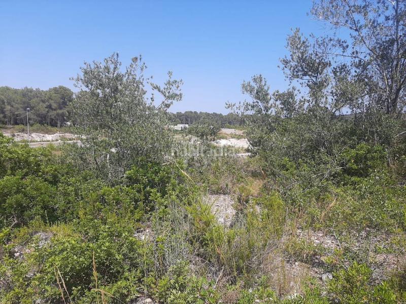 Foto aa572171-2318-4c2e-acf6-55634cdfa2e7. Finca rústica a Catllar (El)