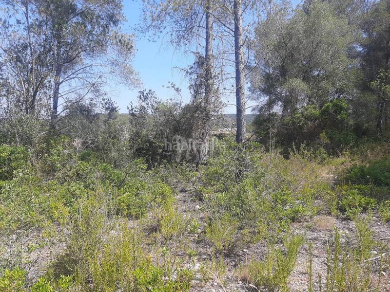 Foto ea38adac-1750-47a1-9ff0-1dd0792a6559. Finca rústica a Catllar (El)