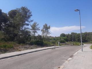 Rural plot  De les farigoles. Oportunidad única en el catllar!