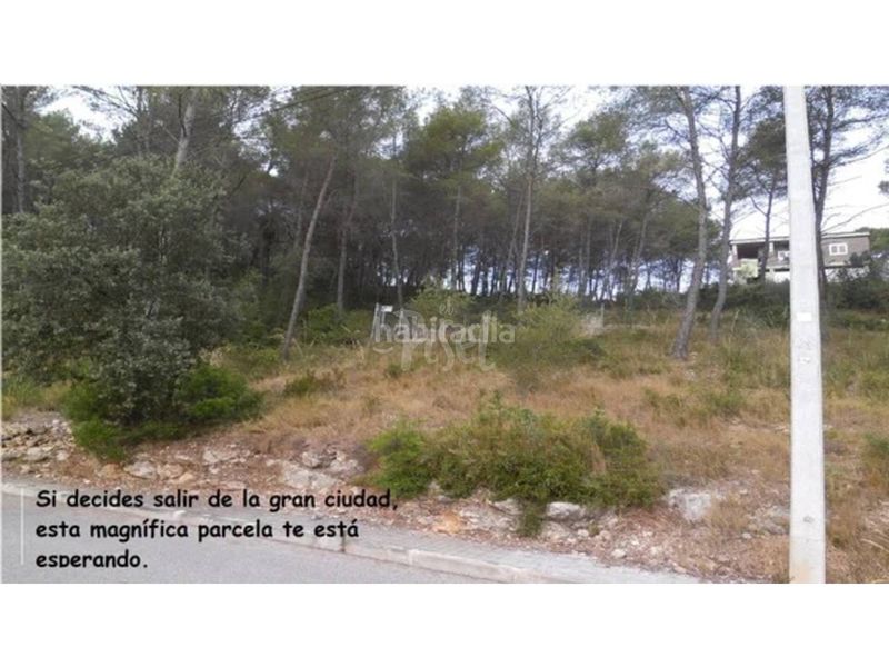 Foto 276fa9fc-f328-4baf-9e7e-368632519dec. Finca rústica a Olivella