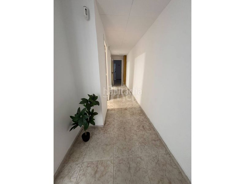 Foto 13bffffb-a39b-4dde-b393-6b7c72ea1561. Pis a Centre Reus