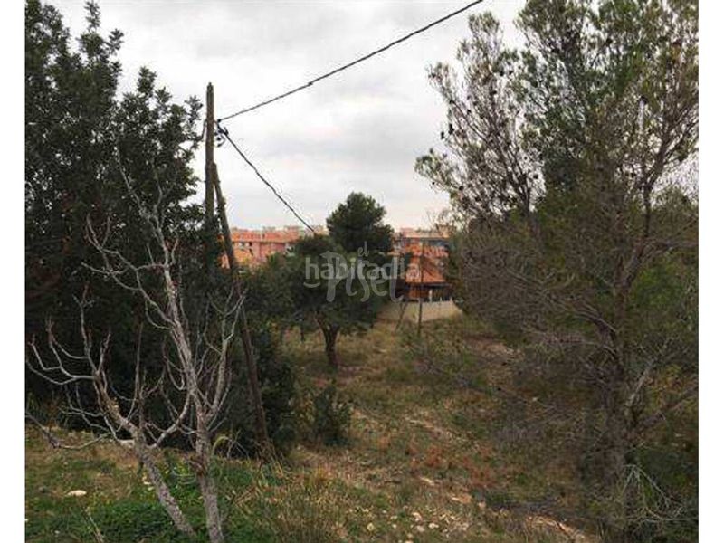 Foto 4d6f4b33-b294-4ab0-a774-1c1b86ac2d07. Finca rústica a Pino Alto Miami Platja