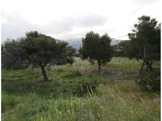 Finca rústica a Pino Alto. Terreno urbano para construir