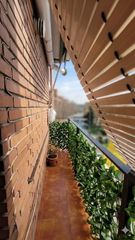 Pis a Calle de la Plata