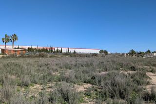 Fondo rustico  Pública poligono. Terreno rústico de 2.424 m2 junto a la futura autovía del arco n