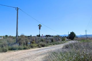 Finca rústica  Pública poligono. Terreno rústico de 2.424 m2 junto a la futura autovía del arco n