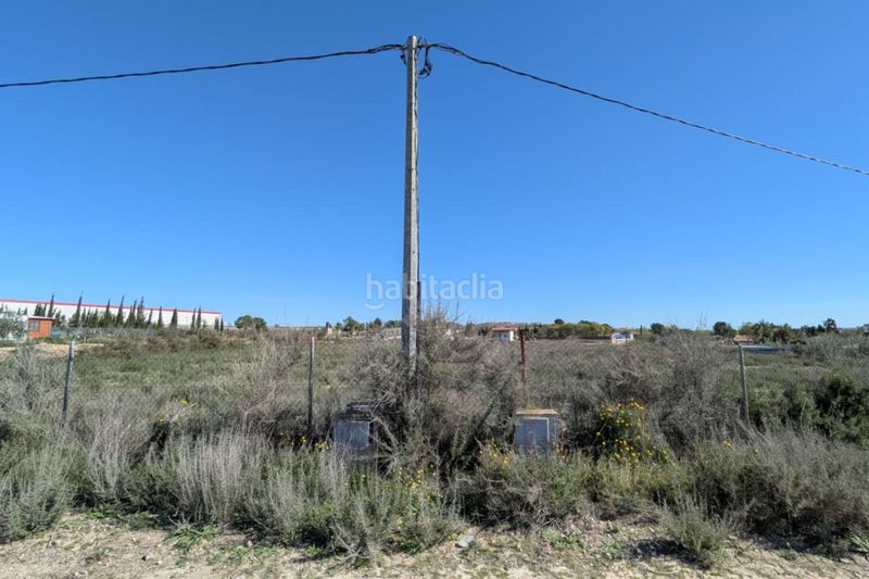 Foto 740f04ff-ab57-404d-abd0-07487e5bb94e. Finca rústica a Torres de Cotillas (Las)