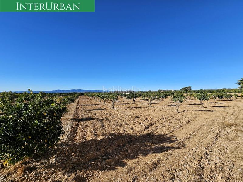 Foto 09873c46-ddfe-4294-b0e4-e9c2a00a0dc5. Finca rústica a Santa Bárbara Llíria