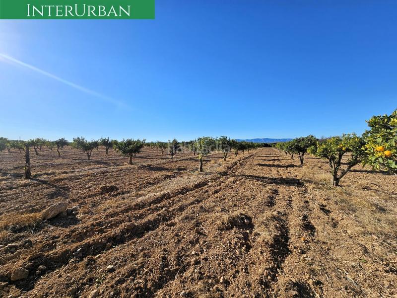 Foto 3c7a0e67-f80c-4d58-afa2-3666f5767159. Finca rústica a Santa Bárbara Llíria