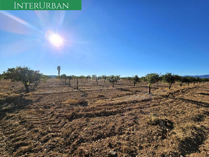 Foto 4515fcb6-eeb6-4cc7-908a-b733d558c421. Finca rústica a Santa Bárbara Llíria