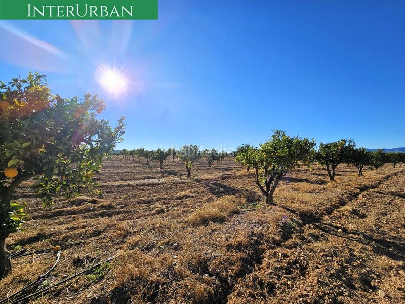 Foto 4e69c0b7-af82-4aab-a39e-a2534bec0d79. Finca rústica a Santa Bárbara Llíria