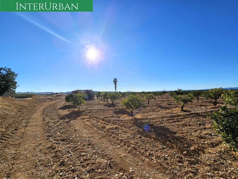 Foto 62509a15-6676-4cb0-8fc1-cefa8db1327a. Finca rústica a Santa Bárbara Llíria